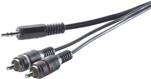 SpeaKa Professional SP-1300900 Cinch / Klinke Audio Anschlusskabel [2x Cinch-Stecker - 1x Klinkenste von SpeaKa Professional