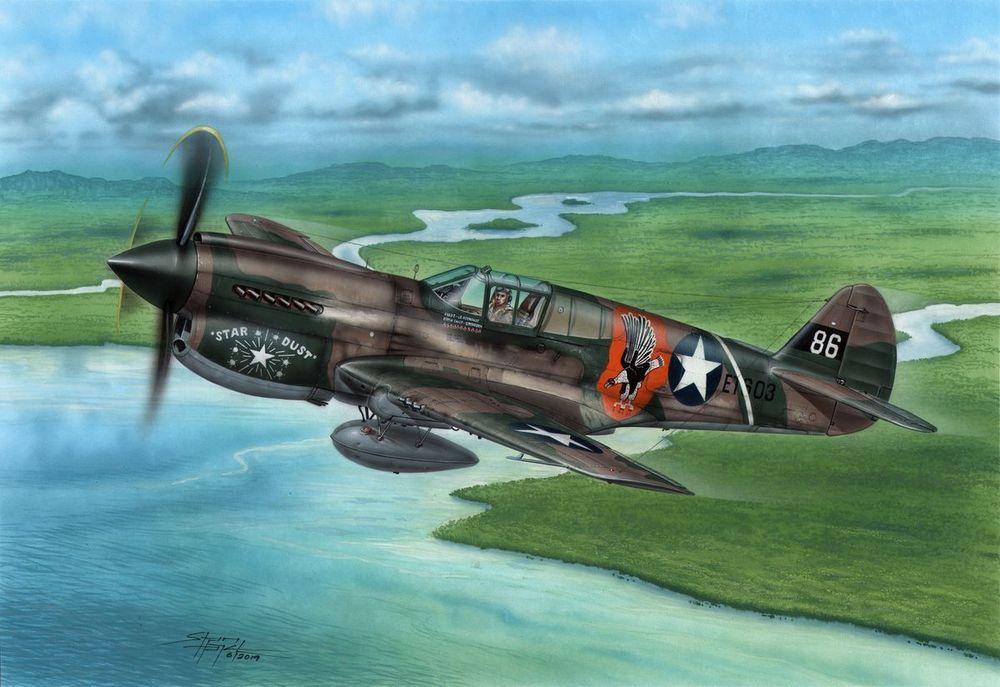P-40E Warhawk - Claws and Teeth von Special Hobby