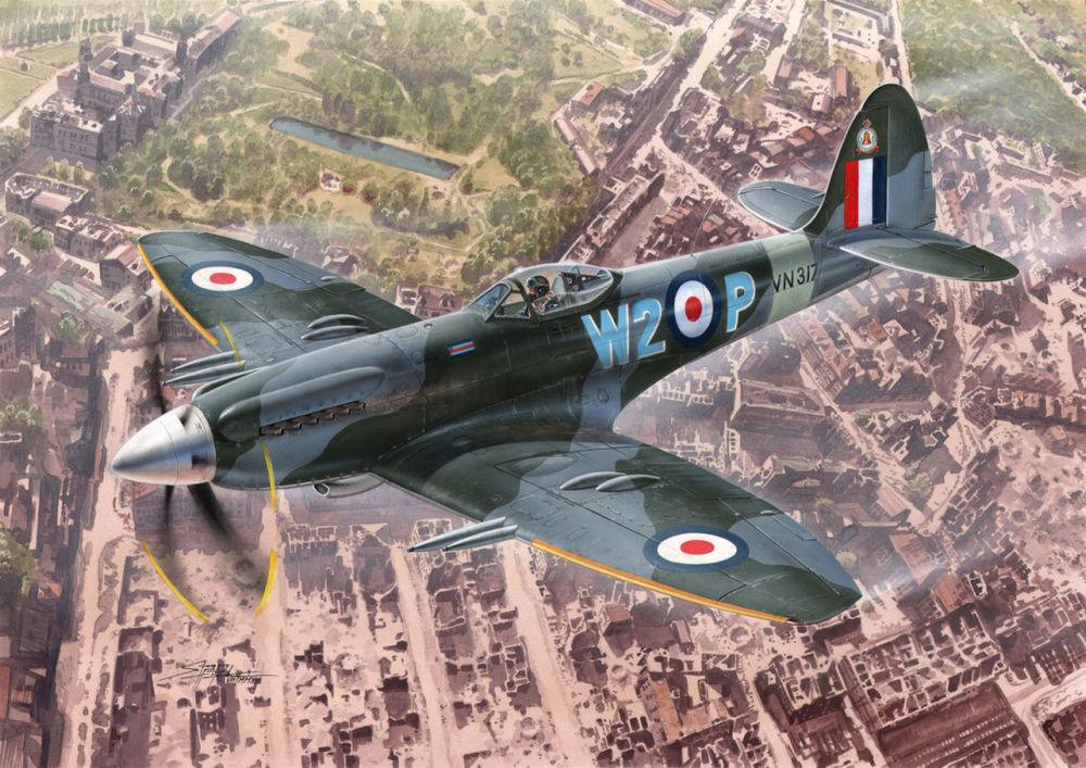 Supermarine Spitfire Mk.24 von Special Hobby