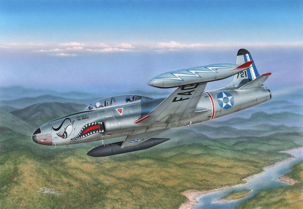 T-33 Japanese and South American T-Birds von Special Hobby