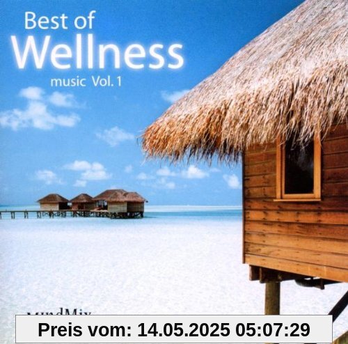 Best of Wellness Music Vol.1 Best of Wellness Music Vol.1 von Special Interest