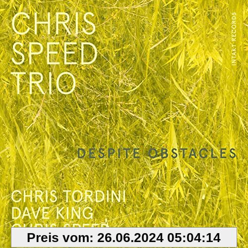 Despite Obstacles von Speed, Chris Trio