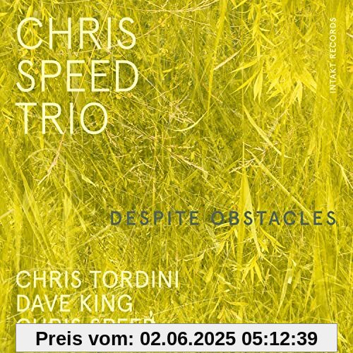 Despite Obstacles Despite Obstacles von Speed, Chris Trio