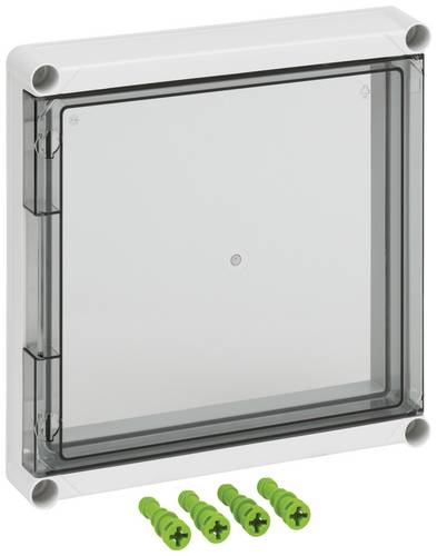 Spelsberg GDK 2-KT Sichttür (L x B x H) 50 x 320 x 320mm 1St. von Spelsberg