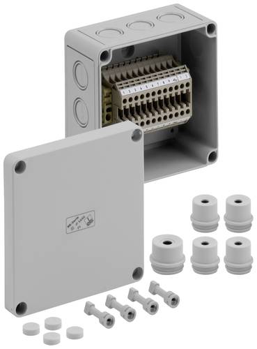 Spelsberg RKi 4/12-12x4q Reihenklemmen-Gehäuse 130 x 130 x 75 Kunststoff Grau 1St. von Spelsberg