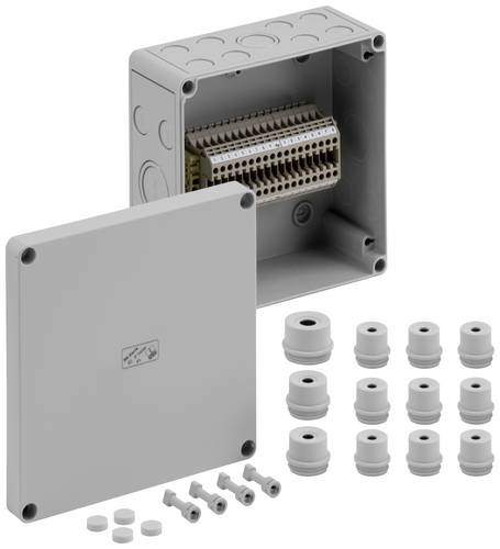 Spelsberg RKi 4/18-18x4q Reihenklemmen-Gehäuse 180 x 182 x 90 Kunststoff Grau 1St. Spelsberg RKi 4/18-18x4q Reihenklemmen-Gehäuse 180 x 182 x 90 Kunststoff Grau 1St. von Spelsberg