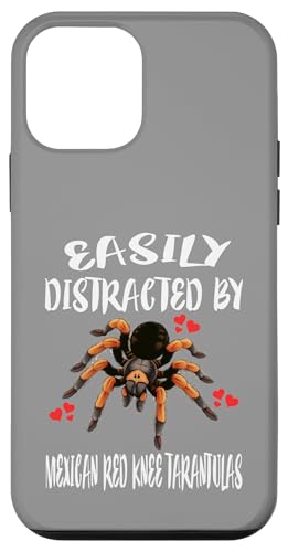 Leicht abgelenkt von mexikanischen Vogelspinnen mit rotem Knie Hülle für iPhone 12 mini von Spider Pet