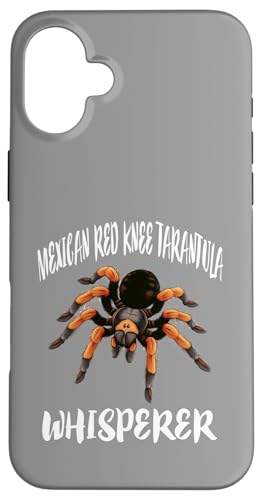 Mexikanische Vogelspinne Flüsterer mit rotem Knie Hülle für iPhone 16 Plus Mexikanische Vogelspinne Flüsterer mit rotem Knie Hülle für iPhone 16 Plus von Spider Pet