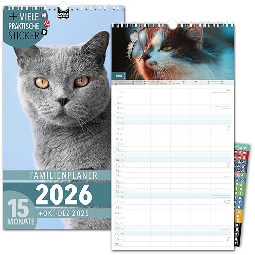 Familienkalender 2026 5 Spalten KATZEN Familienplaner 2026 mit STICKER Urlaub Recycling Ferien Wandplaner 2026 Wandkalender 23 x 43cm inkl. Okt-Dez 2025, Pflanzkalender, niedlich Kätzchen Cats von Spielefabrik