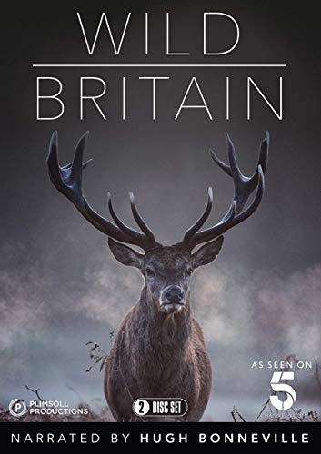 Wild Britain (Hugh Bonneville) [2 DVDs] von Spirit Entertainment Ltd