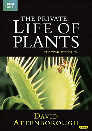Private Life of Plants (Repackaged) [2 DVDs] von Spirit Entertainment