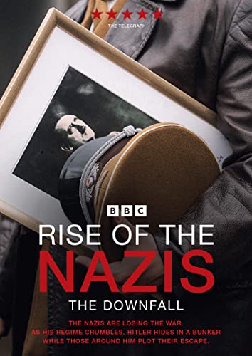 Rise of the Nazis The Downfall [DVD] von Spirit Entertainment