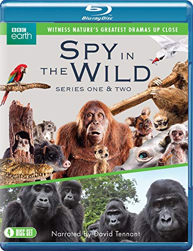 Spy in the Wild: Series 1-2 [Blu-ray] von Spirit Entertainment