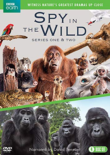 Spy in the Wild: Series 1-2 [DVD] von Spirit Entertainment
