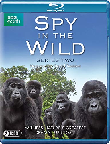 Spy in the Wild: Series 2 [Blu-ray] von Spirit Entertainment