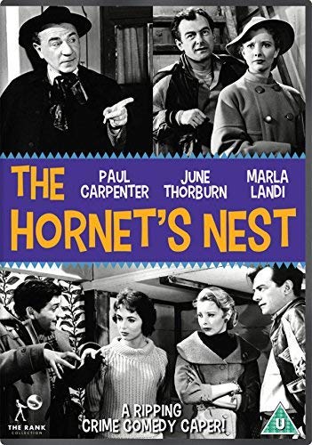 The Hornet's Nest von Spirit Entertainment