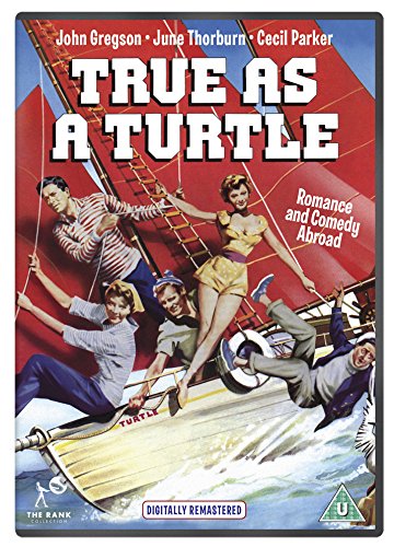 True as a Turtle [DVD] von Spirit Entertainment