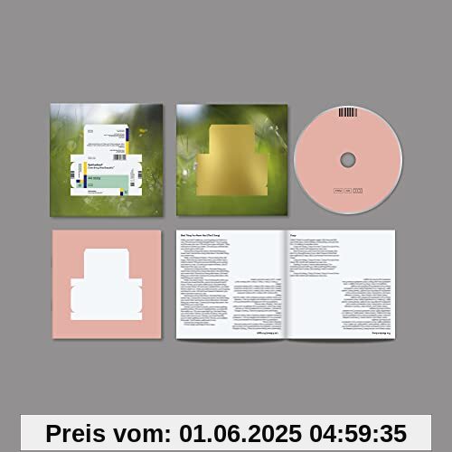 Everything Was Beautiful von Spiritualized