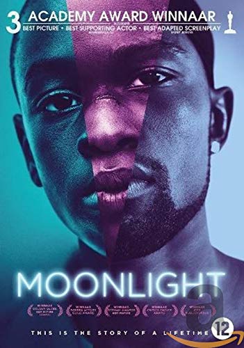DVD - Moonlight (1 DVD) von Splendid Splendid