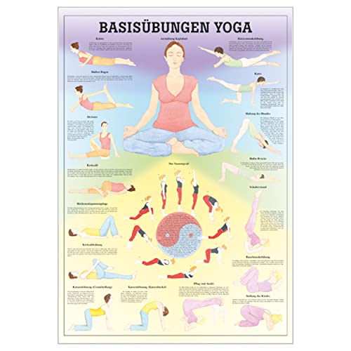 Sport-Tec Basisübungen Yoga Lehrtafel Anatomie 100x70 cm medizinische Lehrmittel von Sport-Tec