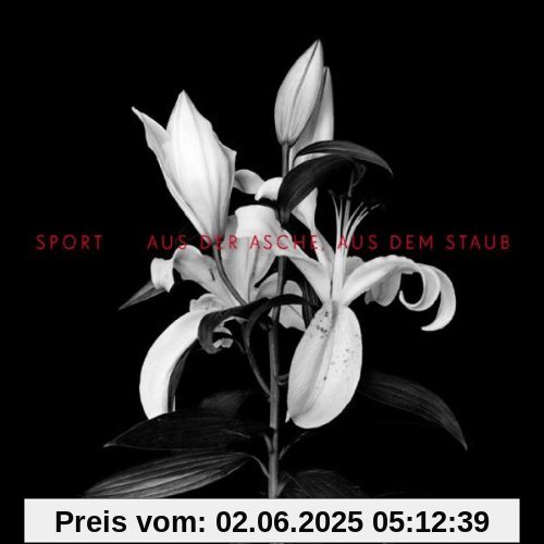 Aus der Asche,aus dem Staub von Sport