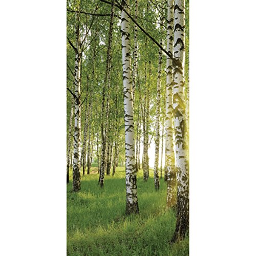 SPRINGBOARD 15667 Immersive backdrop-forest von Springboard