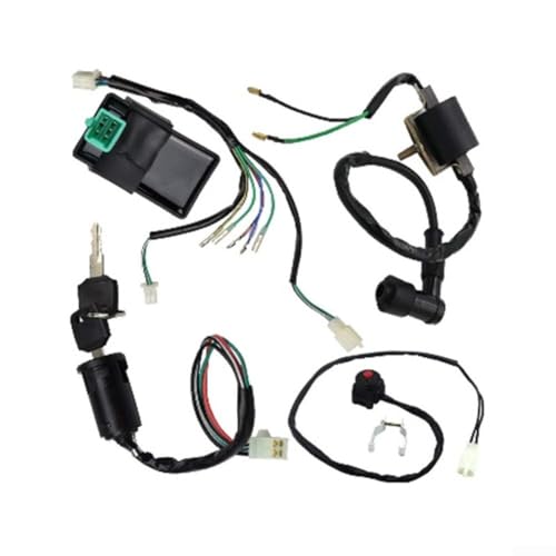 Für 50 cc 70 cc 90 cc 110 cc 125 cc Kabelbaum Umbau-Kit für ATVs und Off-Road-Einsatz Für 50 cc 70 cc 90 cc 110 cc 125 cc Kabelbaum Umbau-Kit für ATVs und Off-Road-Einsatz von Springwillfly