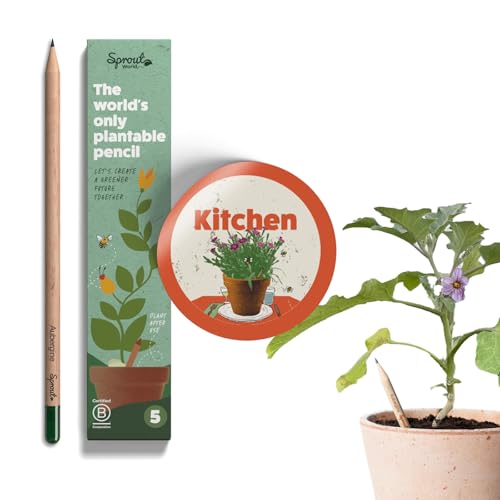 SproutWorld-Bleistifte | Küchen-Edition | Pflanzbare Graphit-Bleistifte mit Kräuter- und Gemüsesamen |Umweltfreundliches Bio-Holz | 5 Stck. von Sprout