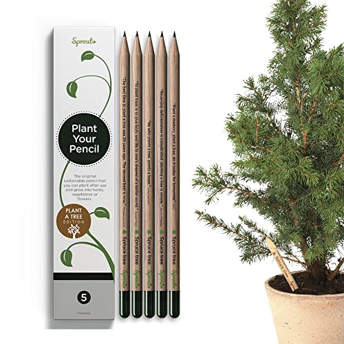 SproutWorld Bleistifte | Plant A Tree | Pflanzbare Graphit Bleistifte mit Fichtenbaumsamen | Eco-Friendly Bio Holz | Nachhaltiges Geschenk Eingraviert mit Inspirierenden Zitaten | 5 stk von Sprout