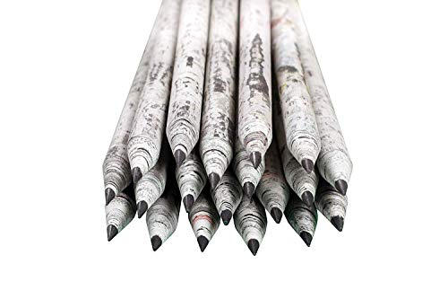 St@llion Recycelte HB-Bleistifte Zeitungsdruck Recyclingpapier Umweltfreundlich Einzigartige Schreibwaren Holzfreie Bleistifte zum Schreiben, Zeichnen (100 Pieces) von St@llion