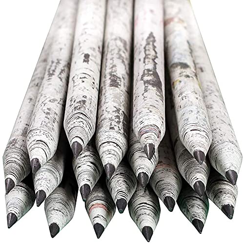 St@llion Recycelte HB-Bleistifte Zeitungsdruck Recyclingpapier Umweltfreundlich Einzigartige Schreibwaren Holzfreie Bleistifte zum Schreiben, Zeichnen (20 Pieces) von St@llion