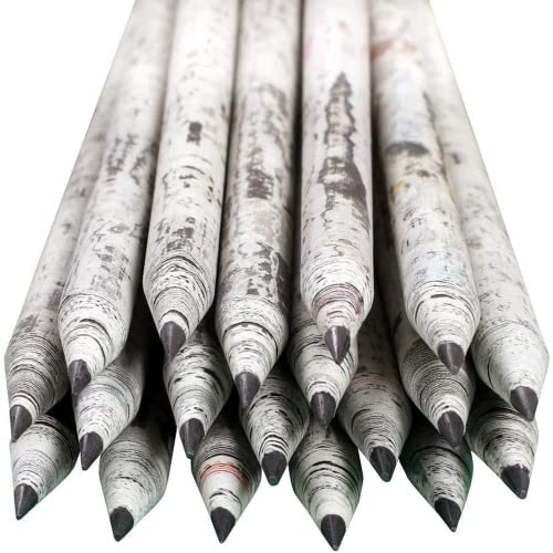St@llion Recycelte HB-Bleistifte Zeitungsdruck Recyclingpapier Umweltfreundlich Einzigartige Schreibwaren Holzfreie Bleistifte zum Schreiben, Zeichnen (40 Pieces) von St@llion
