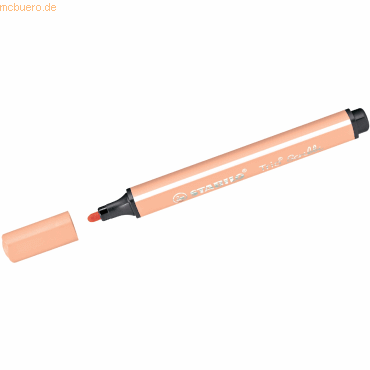5 x Stabilo Filzstift Trio Scribbi fleischfarben 5 x Stabilo Filzstift Trio Scribbi fleischfarben von Stabilo