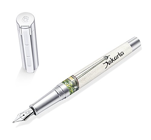 STAEDTLER Initium Corium Füllhalter Urbes Jakarta B, Made in Germany, mit edler Geschenkverpackung, 9PU160B von Staedtler