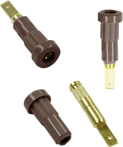 Stäubli EB2 Laborbuchse Buchse, Einbau vertikal Stift-Ø: 2mm Braun von Stäubli