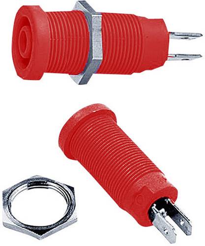 Stäubli XEB-1R Sicherheits-Laborbuchse Buchse, Einbau vertikal Stift-Ø: 4mm Rot 1St. Stäubli XEB-1R Sicherheits-Laborbuchse Buchse, Einbau vertikal Stift-Ø: 4mm Rot 1St. von Stäubli