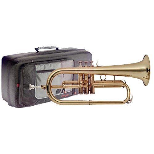 Stagg 25021069 WS-FH215S Bb Flugelhorn, Soft Hülle von Stagg