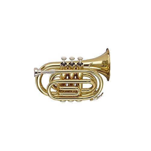 Stagg WS-TR245S B-Taschentrompete im Softcase Stagg WS-TR245S B-Taschentrompete im Softcase von Stagg