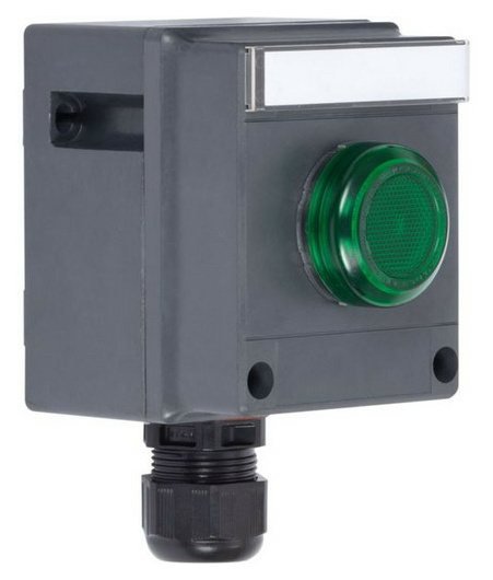 Stahl 8040/1180X-01L50SA05 Drucktaster von Stahl