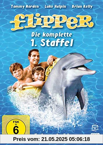 Flipper - Die komplette 1. Staffel [4 DVDs] von Cherry, Stanley Z.