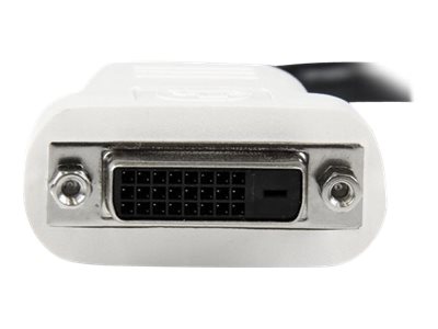 STARTECH DP auf DVI Adapter/ Konverter von StarTech.com