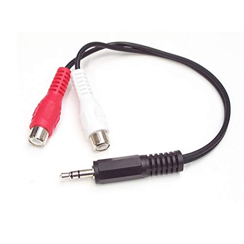 StarTech.com 15cm Audiokabel 3,5mm Klinke auf 2x Cinch (Stecker/Buchse) - Klinkenstecker/RCA Y-Kabel mit 3,5mm Klinke und 2 RCA/Cinch von StarTech.com