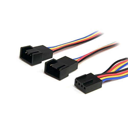 StarTech.com Y-Kabel für Lüfter 30cm - 4 Pin PWM Splitter Kabel - Strom Verteilerkabel - 1 x Molex Lüfter (Buchse) auf 2 x Molex (Stecker), 12 Inch von StarTech.com