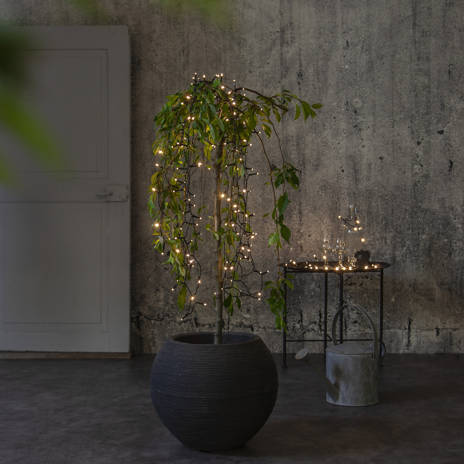 LED Lichterkette - AKKU - 80 warmweiße LED - 5,6m - Batterie - Ti... LED Lichterkette - AKKU - 80 warmweiße LED - 5,6m - Batterie - Ti... von StarTrading