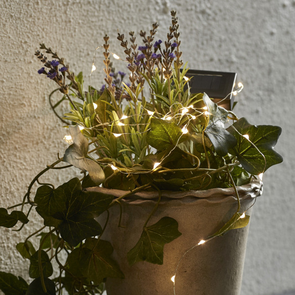 LED Solar Lichterkette DEW DROP - 50 warmweiße LED - silberner Drah... LED Solar Lichterkette DEW DROP - 50 warmweiße LED - silberner Drah... von StarTrading