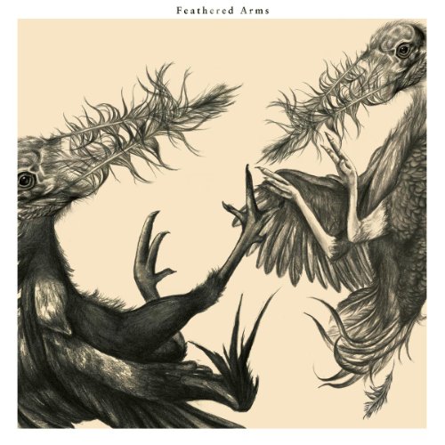Feathered Arms [Vinyl LP] von Stargazer Records (Broken Silence)