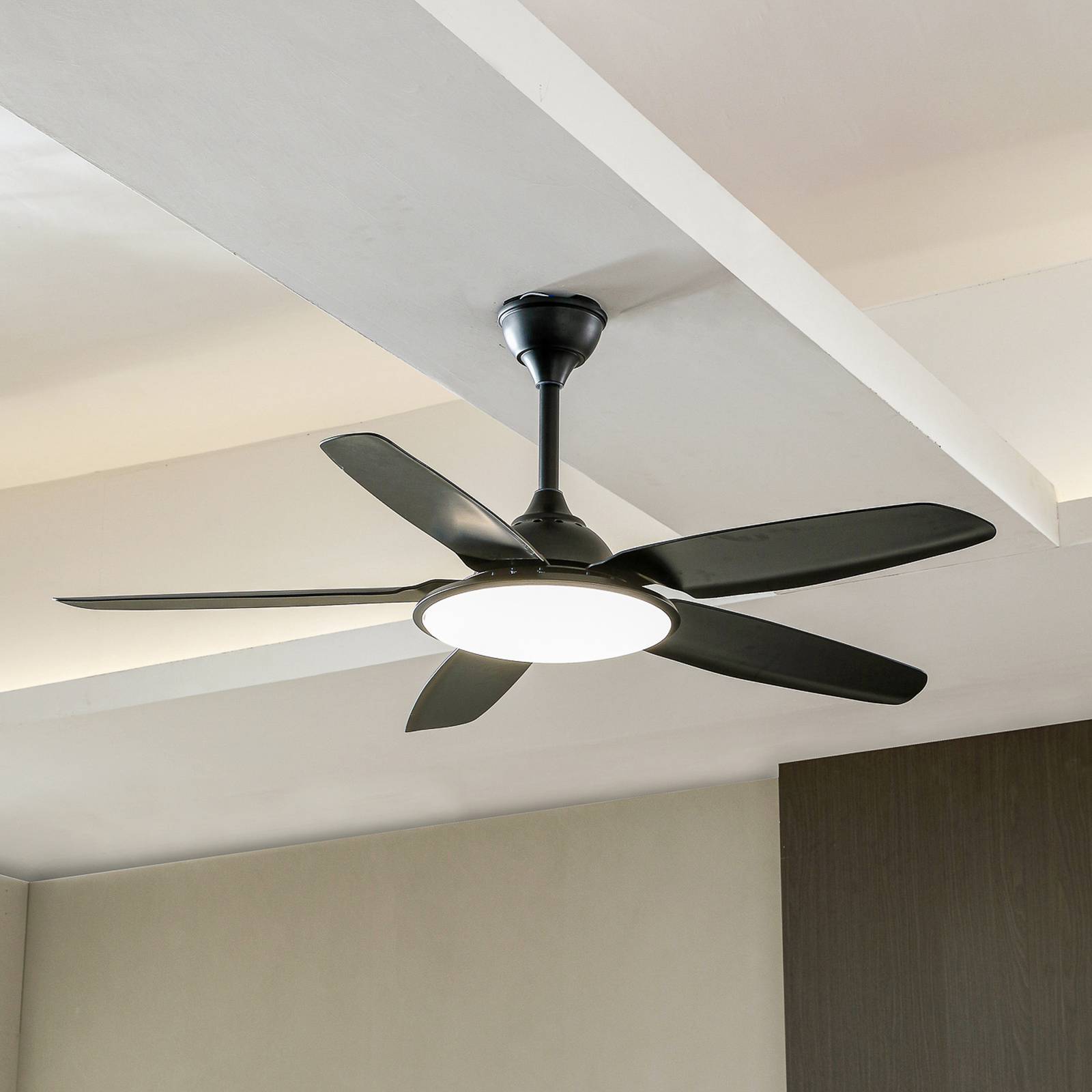 Lucande LED-Deckenventilator Divian, schwarz, DC, leise, CCT Lucande LED-Deckenventilator Divian, schwarz, DC, leise, CCT von LUCANDE