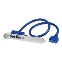 StarTech.com 2 Port USB3.0 A Buchse Slotblech Adapter - USB-Konsole - 9-polig USB Typ A (W) - 20 PIN IDC (W) - 50cm (USB / USB2.0 / USB3.0) - Blau (USB3SPLATE) von Startech