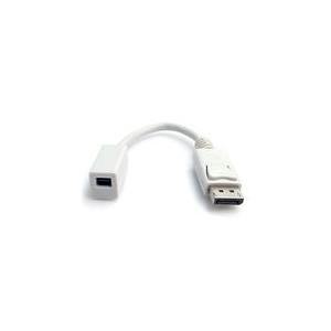 StarTech.com DisplayPort auf Mini DisplayPort Adapter - St/Bu - DisplayPort-Adapter - DisplayPort (M) - Mini DisplayPort (W) - 15,2 cm (DisplayPort 1,2) - geformt - für P/N: SV231DPUA (DP2MDPMF6IN) von Startech