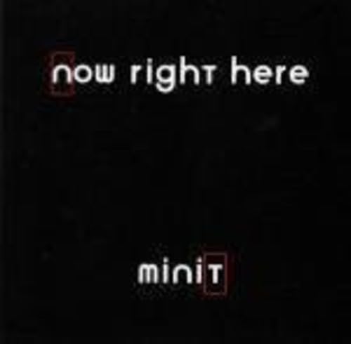 Now Right Here [Vinyl LP] von Staubgold